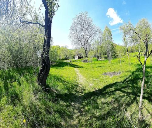 Kert, Fisherman's Cabin (Friendship Land) in Valea Mare Pravat Kert, Fisherman's Cabin (Friendship Land) in Valea Mare Pravat