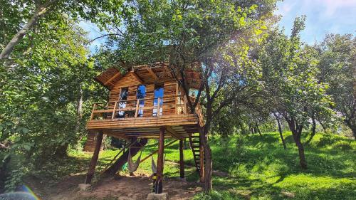 A szálláshely kívülről, Apple Tree Cabin (Friendship Land) in Valea Mare Pravat A szálláshely kívülről, Apple Tree Cabin (Friendship Land) in Valea Mare Pravat