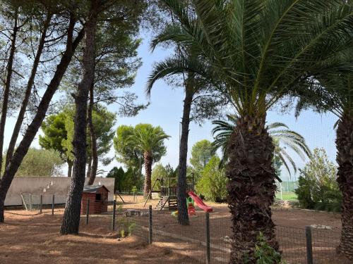 Garden, Casette Masseria La Camardia in Sava Garden, Casette Masseria La Camardia in Sava