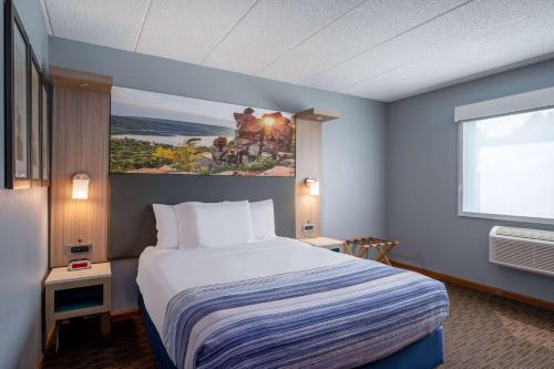 歐克萊爾阿美瑞辛酒店 (AmericInn by Wyndham Eau Claire) in 歐克雷爾(WI) 歐克萊爾阿美瑞辛酒店 (AmericInn by Wyndham Eau Claire) in 歐克雷爾(WI)