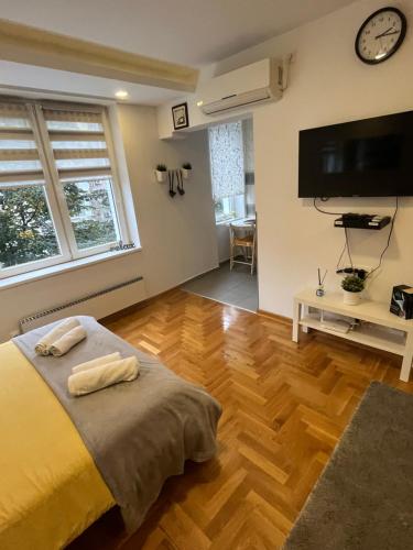 Tesla View Apartment in Vračar Tesla View Apartment in Vračar