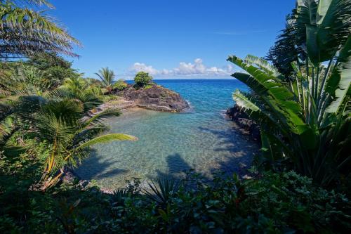 Alrededores, Samaria Lodge in Ile Sainte Marie Alrededores, Samaria Lodge in Ile Sainte Marie