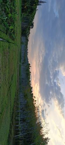 Paradise Homestay in Paralikunnu Paradise Homestay in Paralikunnu