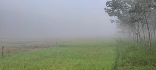 Paradise Homestay in Paralikunnu Paradise Homestay in Paralikunnu