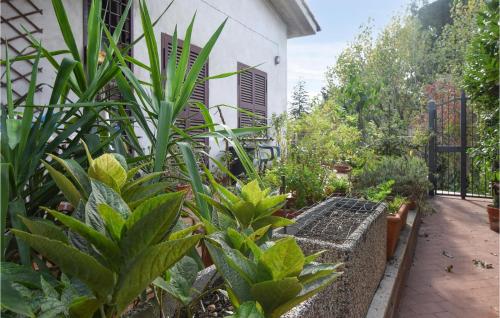 Exterior view, Stunning Apartment In Castelnuovo Di Porto With Kitchen in Castelnuovo Di Porto Exterior view, Stunning Apartment In Castelnuovo Di Porto With Kitchen in Castelnuovo Di Porto