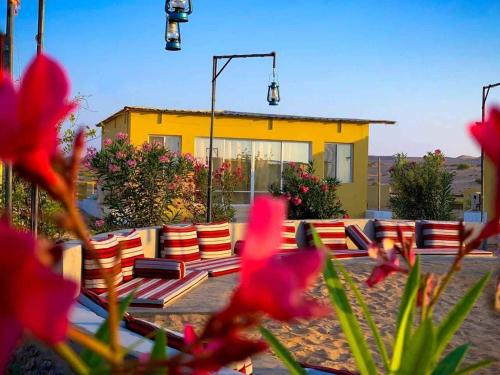 الأنشطة, Golden Palm Oasis in جعلان بني بو حسن الأنشطة, Golden Palm Oasis in جعلان بني بو حسن