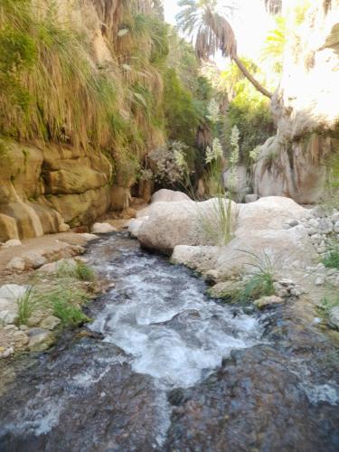 Sehenswürdigkeiten in der Nähe, مزرعة الشفق in Kerak Sehenswürdigkeiten in der Nähe, مزرعة الشفق in Kerak