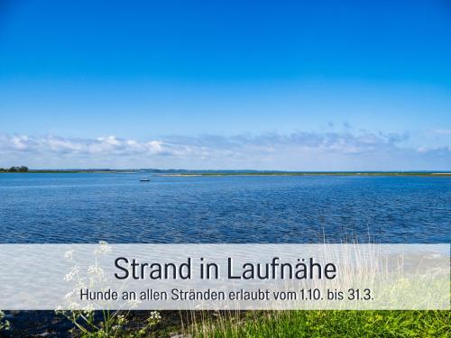 Beach, Lichtinsel, strandnah, mit großem Garten und Sudterrasse in Niesgrau Beach, Lichtinsel, strandnah, mit großem Garten und Sudterrasse in Niesgrau