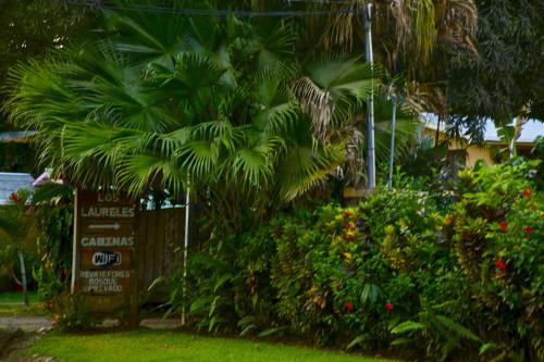 Laureles Collection Uvita - Cabinas Los Laureles in Uvita Laureles Collection Uvita - Cabinas Los Laureles in Uvita