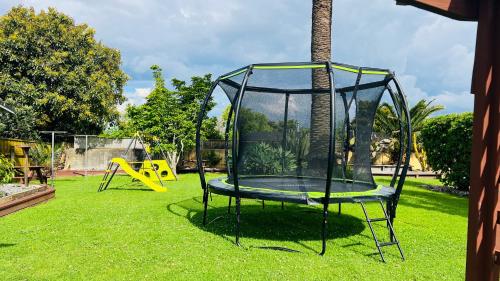 ملعب للأطفال, موتيل إيتينث أفينيو ثيرمال (18th Avenue Thermal Motel) in Tauranga City Center ملعب للأطفال, موتيل إيتينث أفينيو ثيرمال (18th Avenue Thermal Motel) in Tauranga City Center