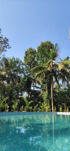 Surrounding environment, Mazra Retreat, Coorg Kushalnagar in Kushalnagar Surrounding environment, Mazra Retreat, Coorg Kushalnagar in Kushalnagar