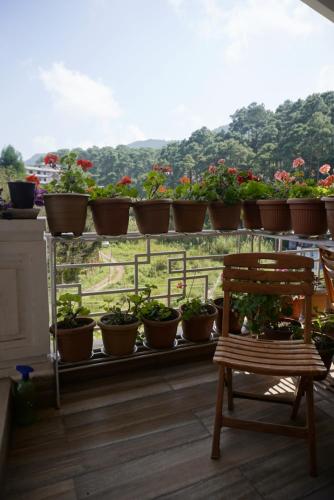 Balcony/terrace, Dorsen Homestay in Malki Balcony/terrace, Dorsen Homestay in Malki