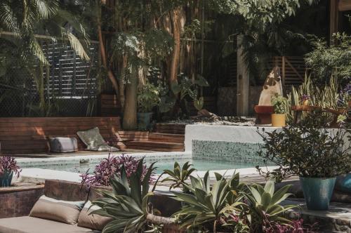 Griss Lodge & Spa in Santa Teresa Griss Lodge & Spa in Santa Teresa