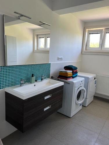 Jelen in Dlouhy Ujezd Jelen in Dlouhy Ujezd