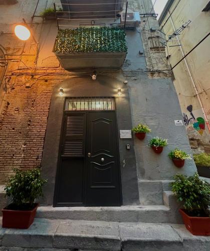 My children’s house