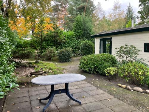 Jardín, Chalet de Eekhoorn - Het Lierderholt Beekbergen in Beekbergen Jardín, Chalet de Eekhoorn - Het Lierderholt Beekbergen in Beekbergen