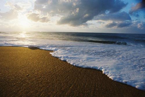 Bidaous in Villeneuve-de-Marsan Bidaous in Villeneuve-de-Marsan