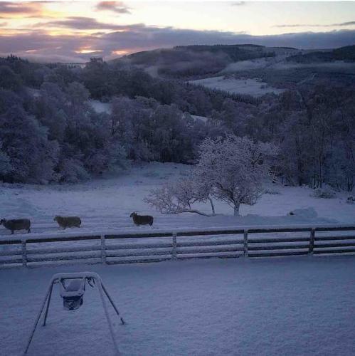 Traditional Croft Cottage Minutes from Lochness in Drumnadrochit Town Center Traditional Croft Cottage Minutes from Lochness in Drumnadrochit Town Center