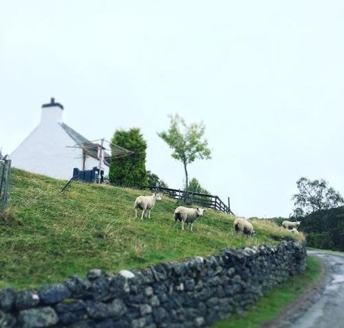 Traditional Croft Cottage Minutes from Lochness in Drumnadrochit Town Center Traditional Croft Cottage Minutes from Lochness in Drumnadrochit Town Center
