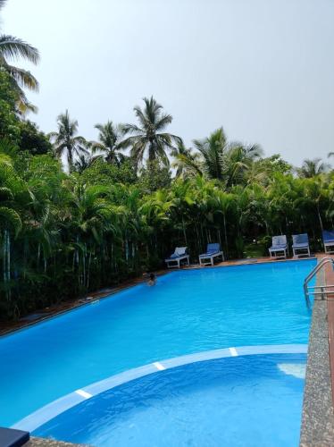 Swimming pool, TP Beach Resort in Arambol Beach Swimming pool, TP Beach Resort in Arambol Beach