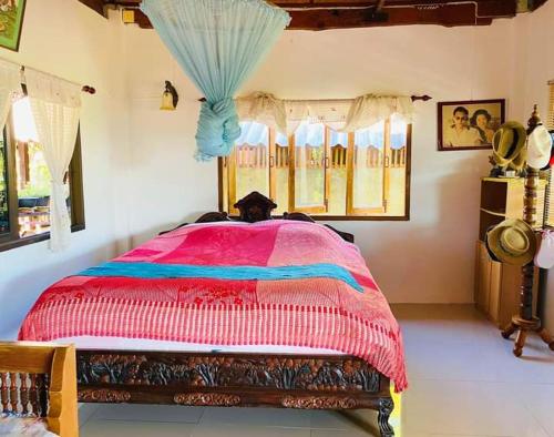 บ้านสวนม่วนใจโฮมสเตย์ in Huai Sak บ้านสวนม่วนใจโฮมสเตย์ in Huai Sak