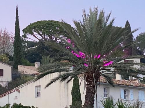 Vistas, La Suite Sainte Claire in Hyeres City Center Vistas, La Suite Sainte Claire in Hyeres City Center