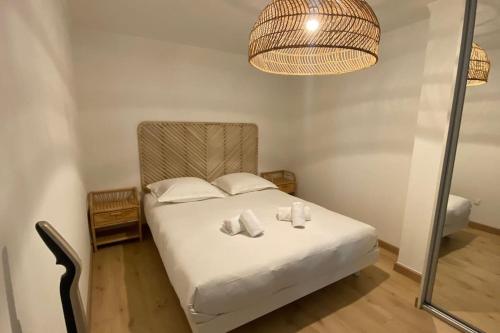 Appartement 2 pièces (Banane)