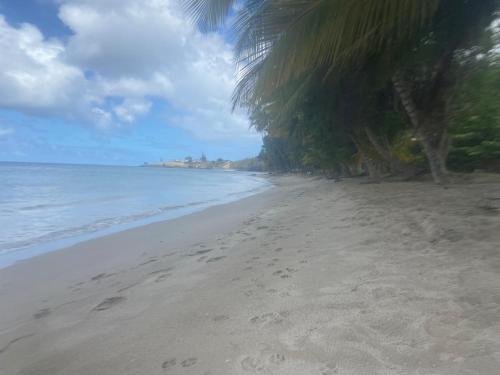 Beach, Greenhouse on the Hill, Sea View Studio Apartment in Laborie Beach, Greenhouse on the Hill, Sea View Studio Apartment in Laborie
