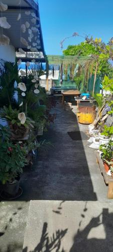 Ravehei smile papeete punaauia in Tahiti Ravehei smile papeete punaauia in Tahiti