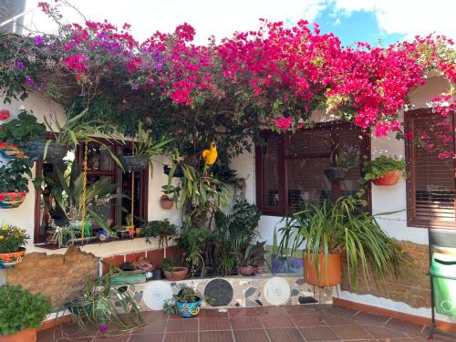 HOTEL HOSTERIA la PINTADA in Sachica HOTEL HOSTERIA la PINTADA in Sachica