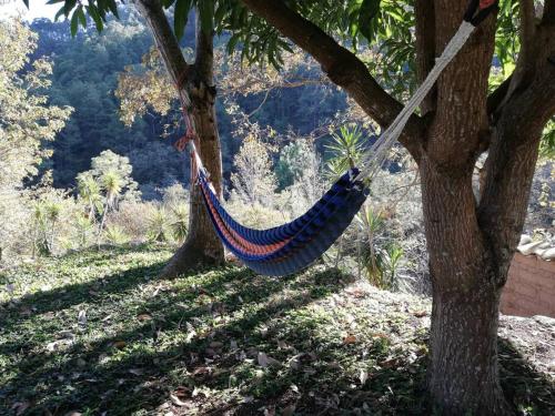 陽台/露台, Ecolodge Guancascos, cabaña para 16 personas al pie del PN Celaque (Ecolodge Guancascos, cabana para 16 personas al pie del PN Celaque) in 格拉西亞斯 陽台/露台, Ecolodge Guancascos, cabaña para 16 personas al pie del PN Celaque (Ecolodge Guancascos, cabana para 16 personas al pie del PN Celaque) in 格拉西亞斯