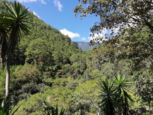 Ecolodge Guancascos, cabaña para 16 personas al pie del PN Celaque (Ecolodge Guancascos, cabana para 16 personas al pie del PN Celaque) in Gracias Ecolodge Guancascos, cabaña para 16 personas al pie del PN Celaque (Ecolodge Guancascos, cabana para 16 personas al pie del PN Celaque) in Gracias