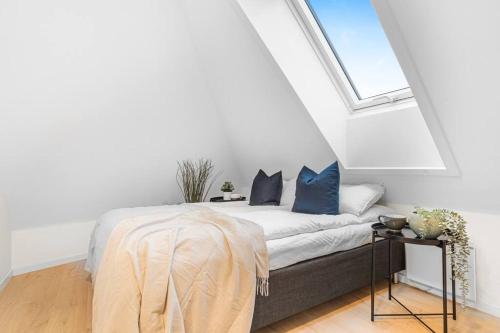 NEW! Huge Modern Apartment! Fit For Two Families!