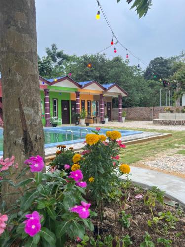 D'DUSUN RAUDHAH HOMESTAY in Kupang D'DUSUN RAUDHAH HOMESTAY in Kupang
