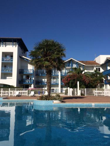 Swimming pool, Residence Mer & Golf Fort Socoa in Urrugne Swimming pool, Residence Mer & Golf Fort Socoa in Urrugne