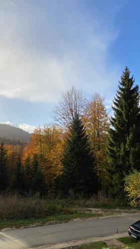 View, Alpi Cabin Pridolci in Banja View, Alpi Cabin Pridolci in Banja