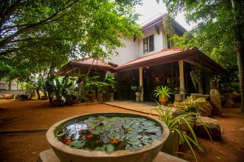 Unterkunft von außen, Evergreen Hotel Dambulla in Sigiriya Unterkunft von außen, Evergreen Hotel Dambulla in Sigiriya