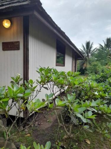 TAHAUKU VALLEY 1 in Islas Marquesas TAHAUKU VALLEY 1 in Islas Marquesas