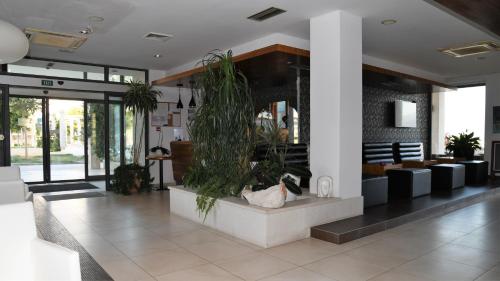 ล็อบบี้, Hotel Lipa in บราค ไอส์แลนด์ ล็อบบี้, Hotel Lipa in บราค ไอส์แลนด์