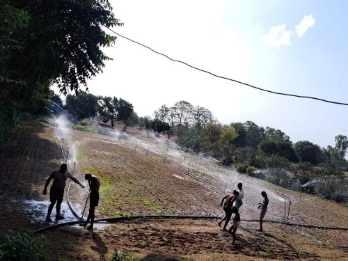 Noble Nest Eco Resort Khatushyam Ji in Reengus Noble Nest Eco Resort Khatushyam Ji in Reengus