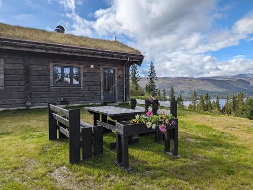 Liaplassen Tømmerhytte in Отта Liaplassen Tømmerhytte in Отта