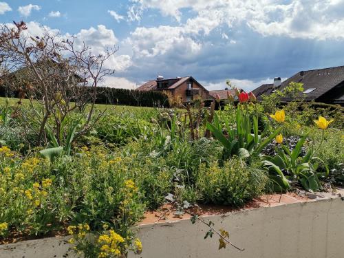 tuin, 1-Zimmer-Studio am Waldrand in Grasellenbach tuin, 1-Zimmer-Studio am Waldrand in Grasellenbach