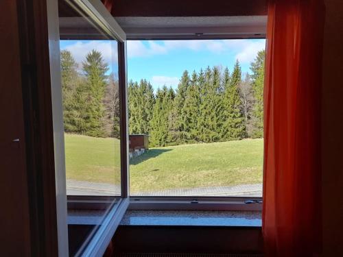 Surrounding environment, 1-Zimmer-Studio am Waldrand in Grasellenbach Surrounding environment, 1-Zimmer-Studio am Waldrand in Grasellenbach