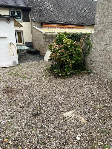 Garden, DUPLEX REFAIT NEUF a MONCHAUX SORENG in Blangy-sur-Bresle Garden, DUPLEX REFAIT NEUF a MONCHAUX SORENG in Blangy-sur-Bresle