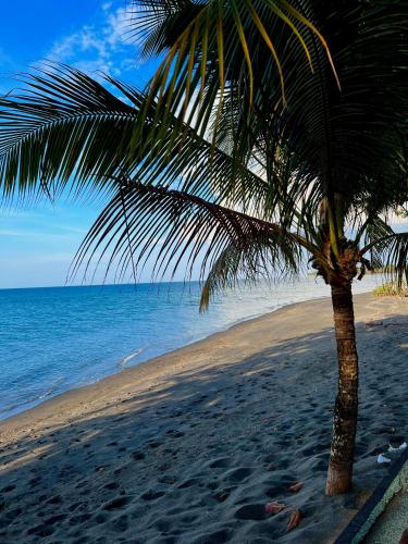 Rinjani Beach Eco Resort in Medana Rinjani Beach Eco Resort in Medana