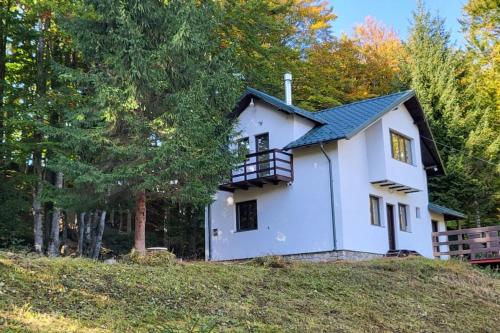 A szálláshely kívülről, Cabana Cotu lui Iepure in Traisteni A szálláshely kívülről, Cabana Cotu lui Iepure in Traisteni