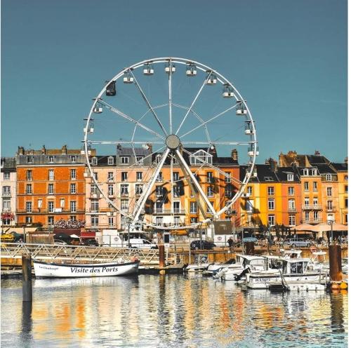 Les Délices Normands, très bon emplacement avec parking privé et grand jardin (Chez Vincent, Chambres doubles equipees, avec acces prive, tres bon emplacement dans Dieppe, au calm) in Dieppe Les Délices Normands, très bon emplacement avec parking privé et grand jardin (Chez Vincent, Chambres doubles equipees, avec acces prive, tres bon emplacement dans Dieppe, au calm) in Dieppe