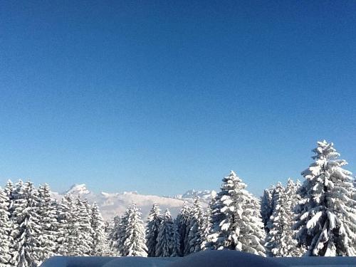 This photo about Ferienwohnung Chalet Camilla shared on HyHotel.com