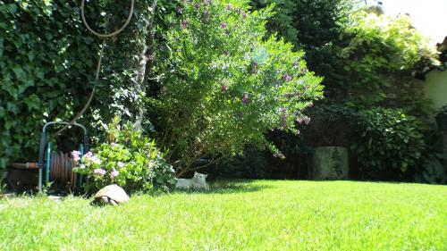 This photo about Green Oasis Apartments JG shared on HyHotel.com