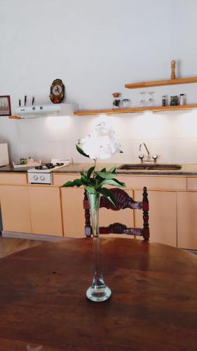 Kitchen, Cabana Monoambiente de Descanso y Relax en Zona Barrio La Florida Pet Friendly in Caisamar Kitchen, Cabana Monoambiente de Descanso y Relax en Zona Barrio La Florida Pet Friendly in Caisamar